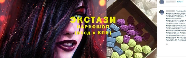 индика Горняк