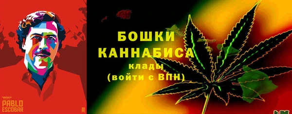сатива Абдулино