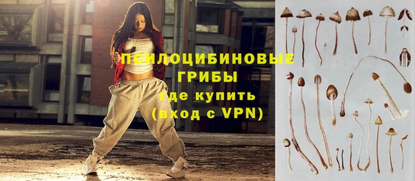 a pvp Абаза