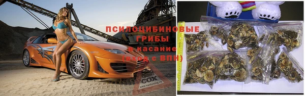 сатива Абдулино