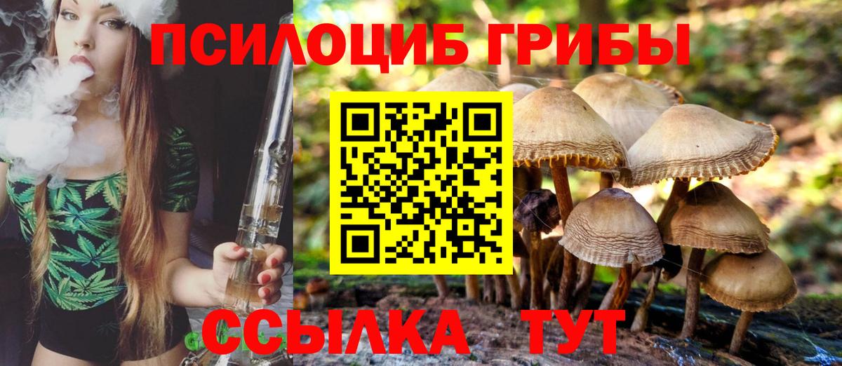 Железноводск  Псилоцибиновые грибы мухоморы  Вход с VPN  Галлюциногенные грибы мухоморы 